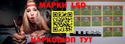 гидра Будённовск