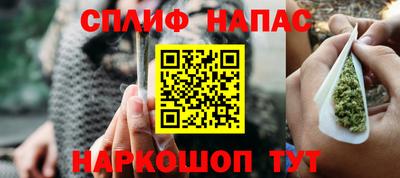 гидра Будённовск
