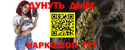 гидра Будённовск