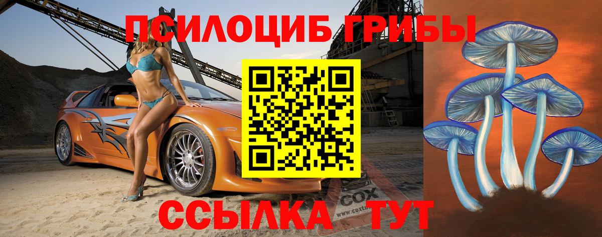 Псилоцибиновые грибы мицелий Псков