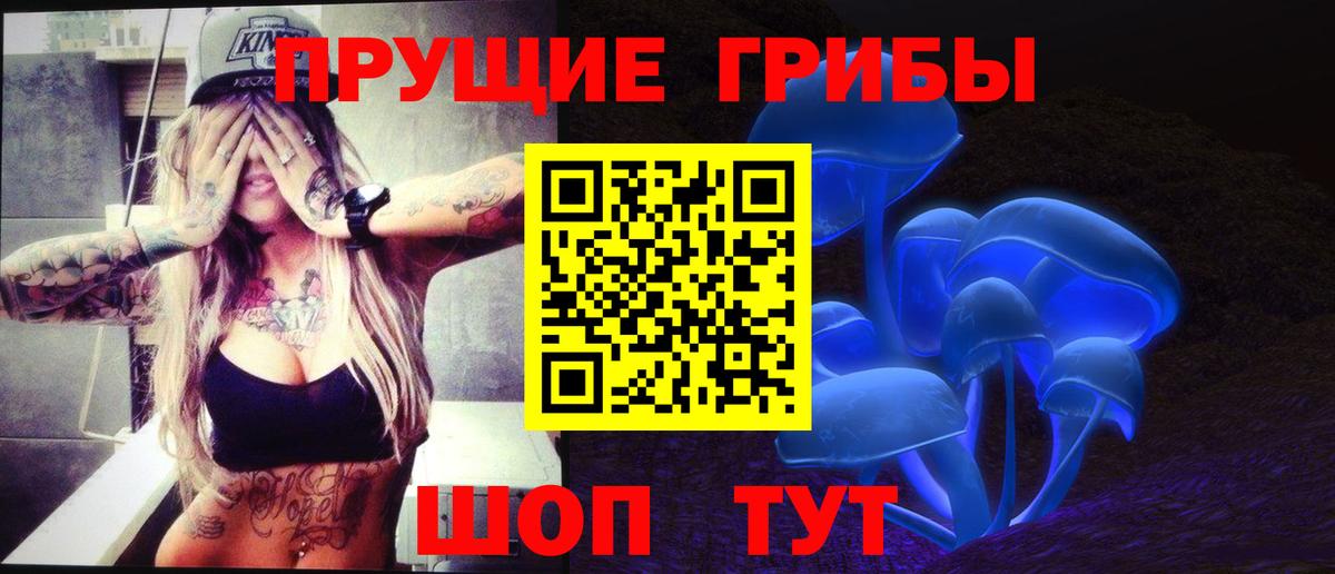 Псилоцибиновые грибы Psilocybe  Вход с VPN  Псков  Галлюциногенные грибы мухоморы 